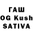 Псилоцибиновые грибы GOLDEN TEACHER Aivar Selga